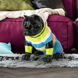 ROCKY- PITBULL  MEDIANO NEGRO-RAYAS