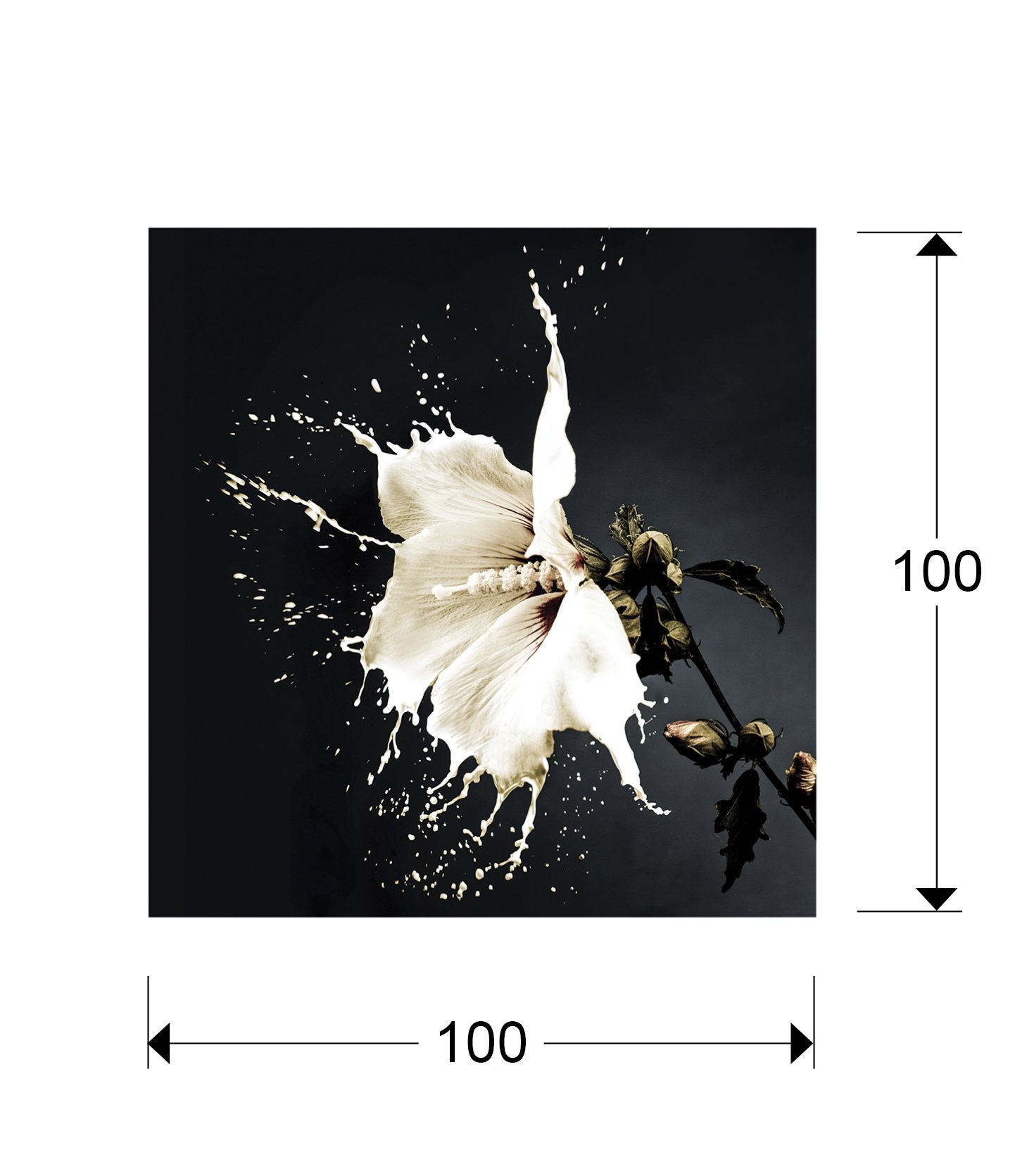 FOTO ·SPLASH· 100x100