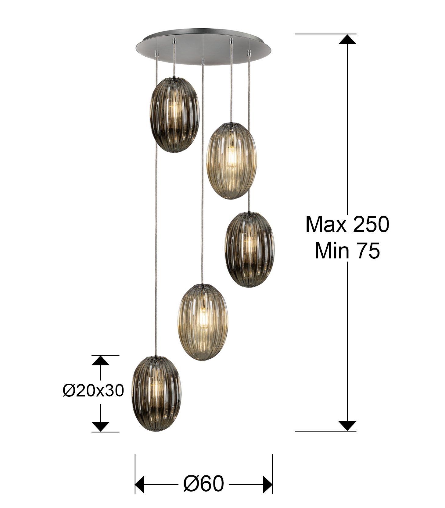 OVILA- LAMP 5L SMOKE- COÑAC