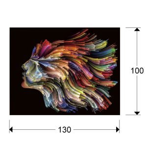 FOTO ·POLYCROMY· 130x100